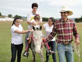 Projeto “Amigos da Equoterapia” é desenvolvido no UNIFOR-MG