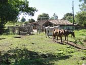 Fazenda Laboratório do UNIFOR-MG passa por melhorias
