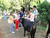 Calouros do curso de Medicina Veterinária visitam a Fazenda Laboratório UNIFOR-MG