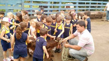 Alunos do Colégio de Aplicação estudam os animais da  Fazenda Laboratório