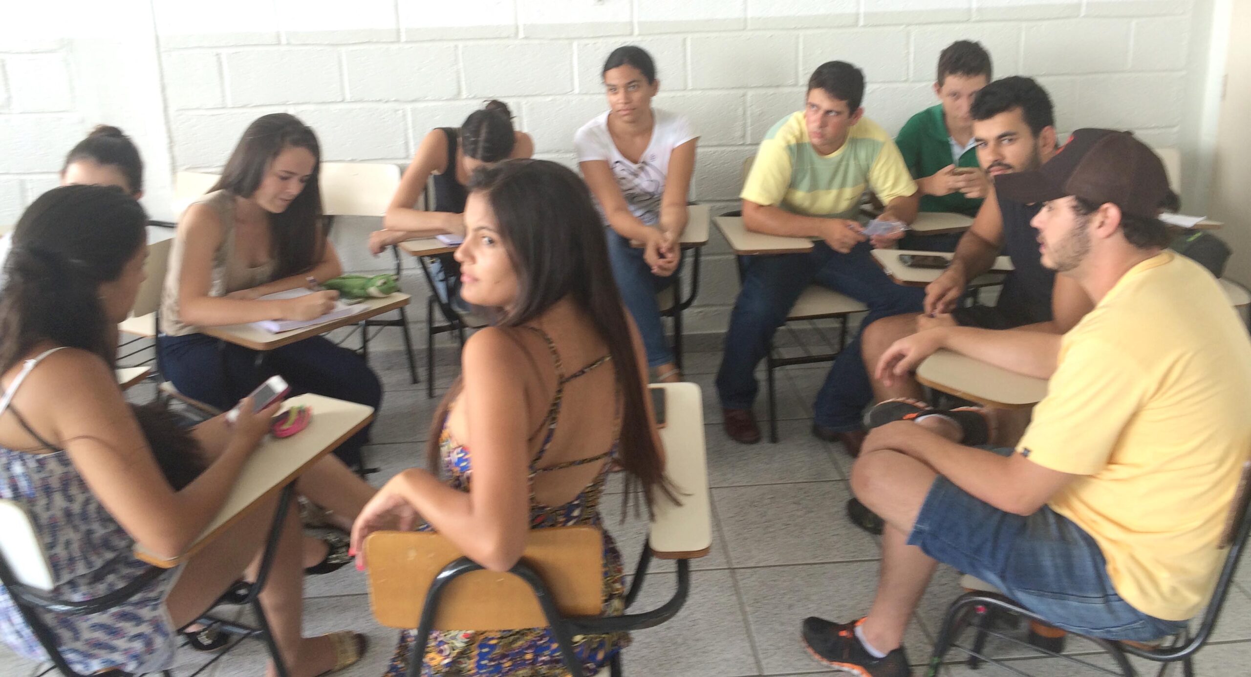 grupo estudos ruminantes 1