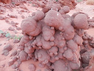 12179008 898639980204378 1636466705 n