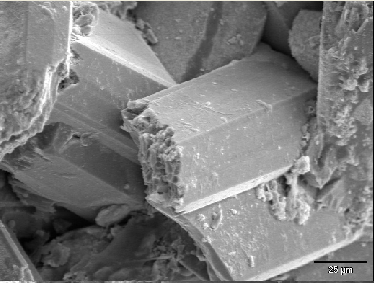 Anisio Prismas Foto 08.bmp