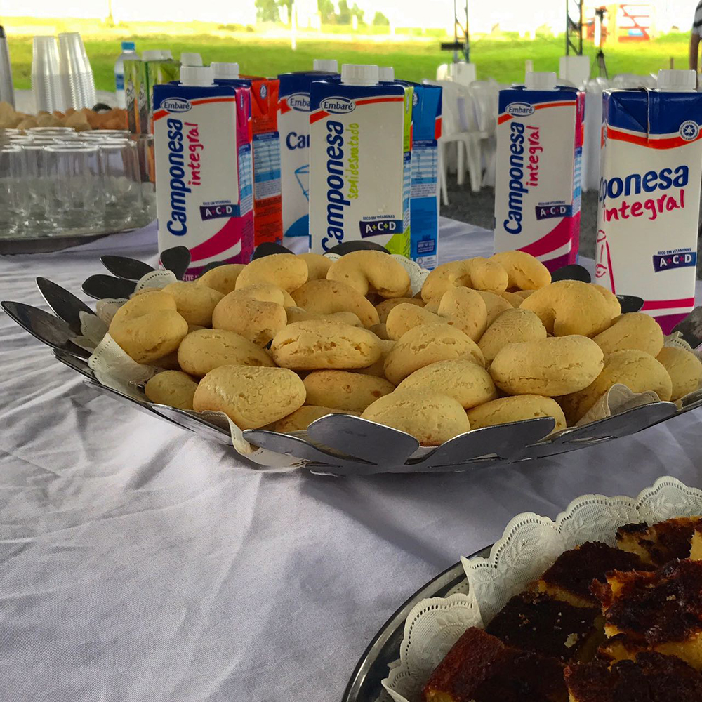 Dia de campo Emabr&eacute; 2017 10