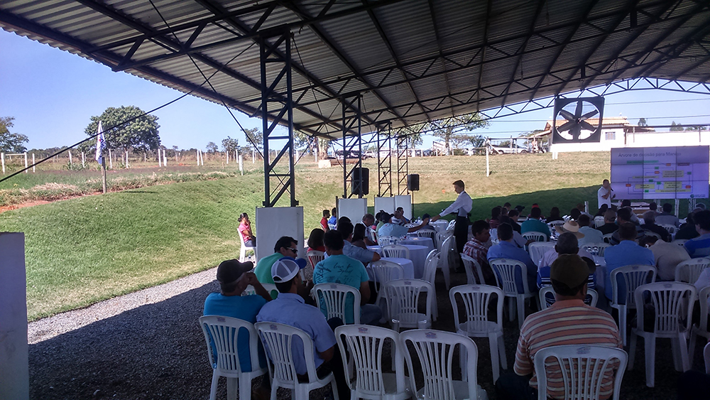 Dia de campo Emabr&eacute; 2017 4