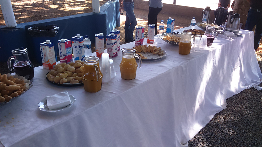 Dia de campo Emabr&eacute; 2017 5