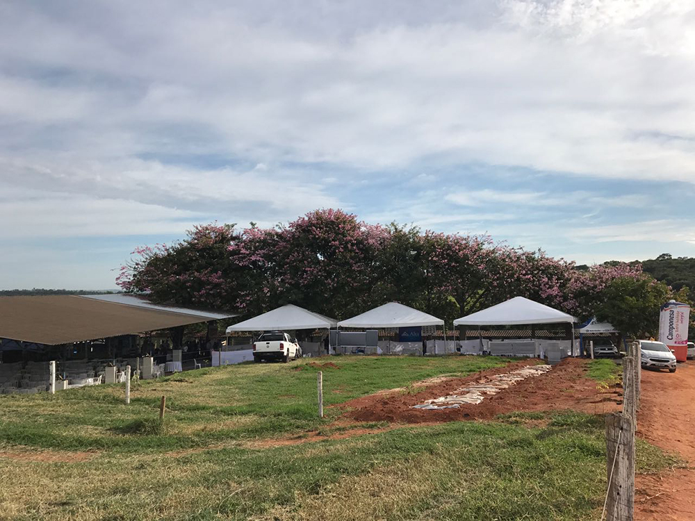 Dia de campo Emabr&eacute; 2017 8