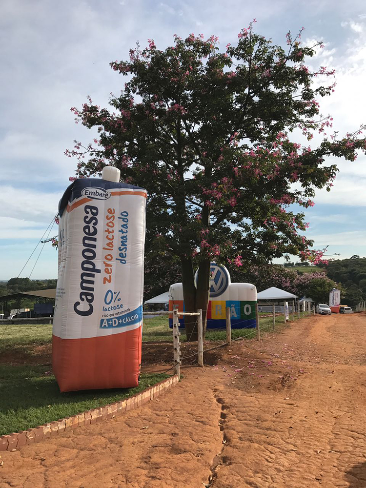 Dia de campo Emabr&eacute; 2017 9