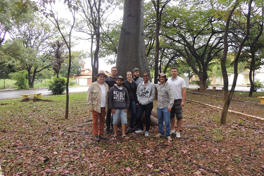 trabalho LPrata 2017 2