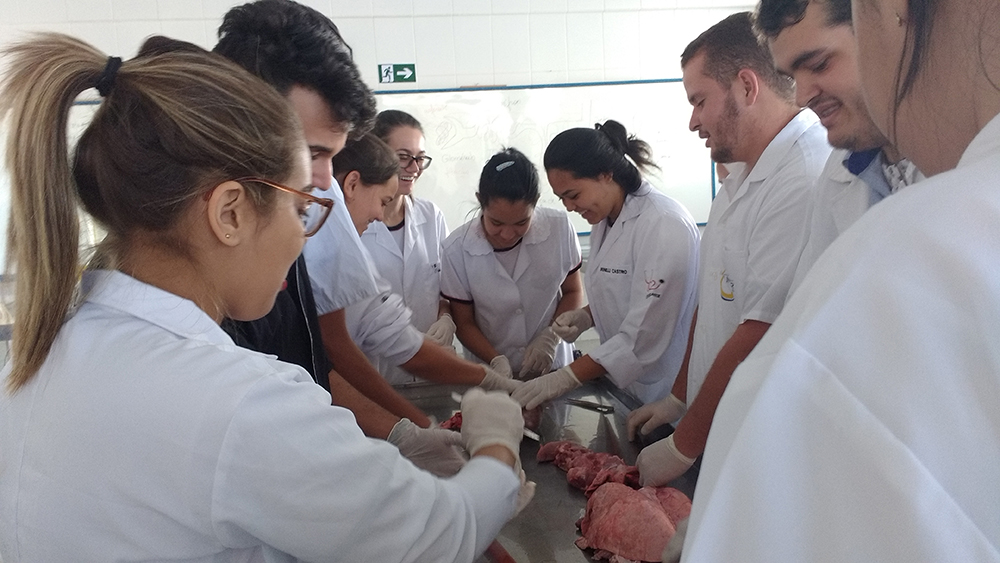 visita polivalente 4