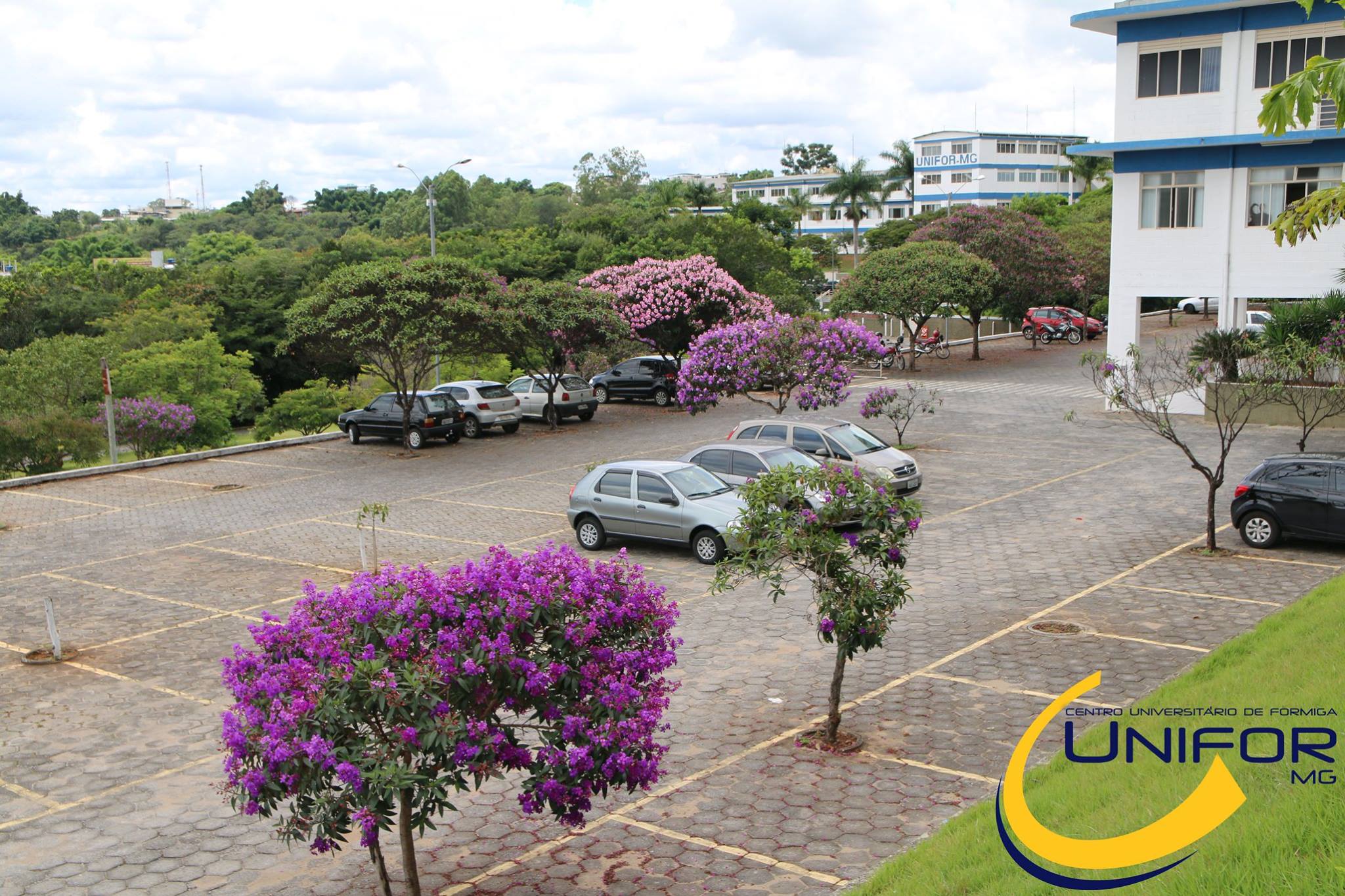 FLORES DÃO UM TOQUE ESPECIAL AO CAMPUS DO UNIFOR-MG