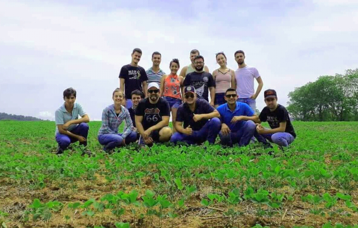 Estudantes do 6º período de Engenheira Agronômica em uma lavoura de soja, um dos ambientes do experimento de Climatologia