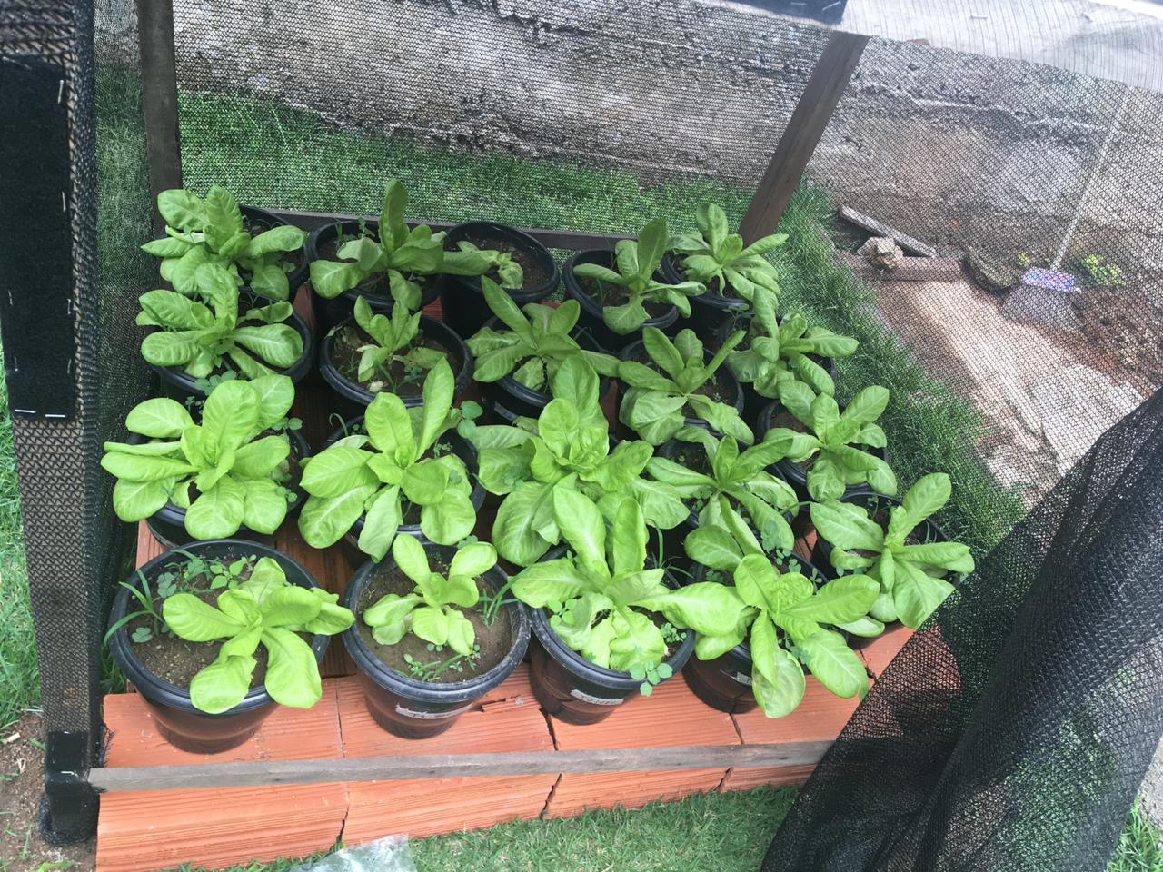 WhatsApp Image 2019 01 28 at 09.32.52