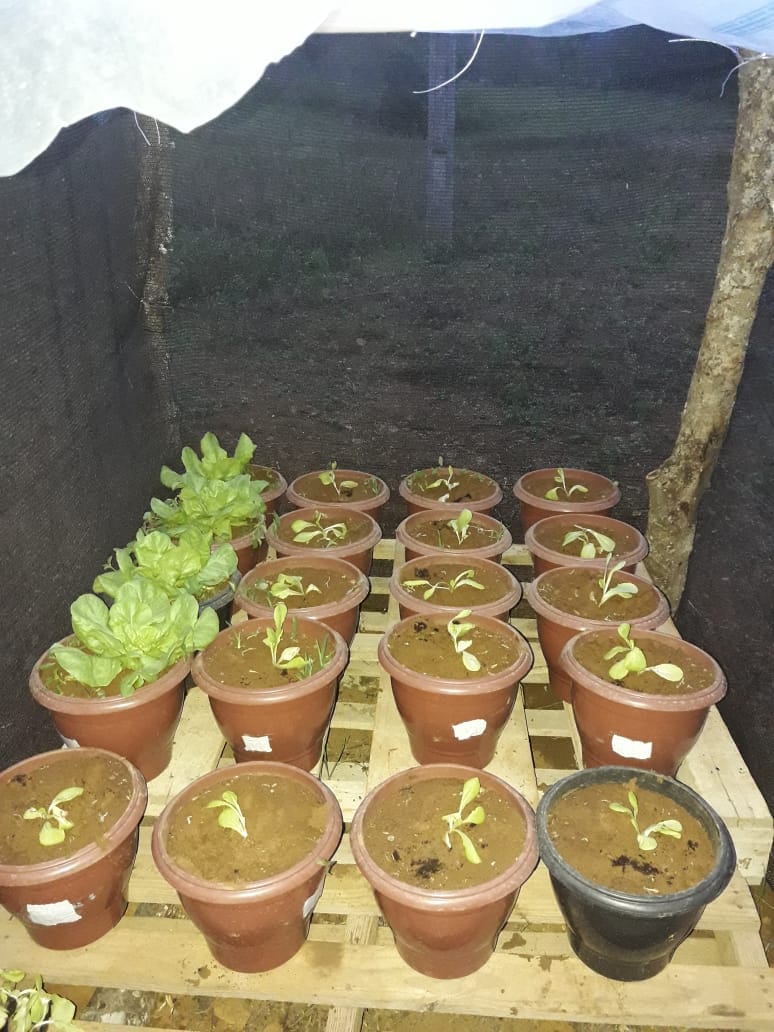 WhatsApp Image 2019 01 28 at 09.32.54