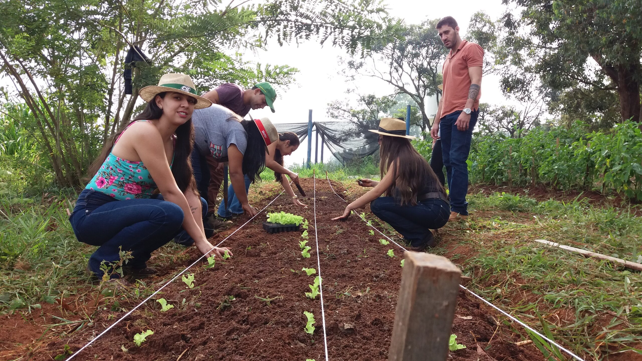 atividades primeiro periodo 1