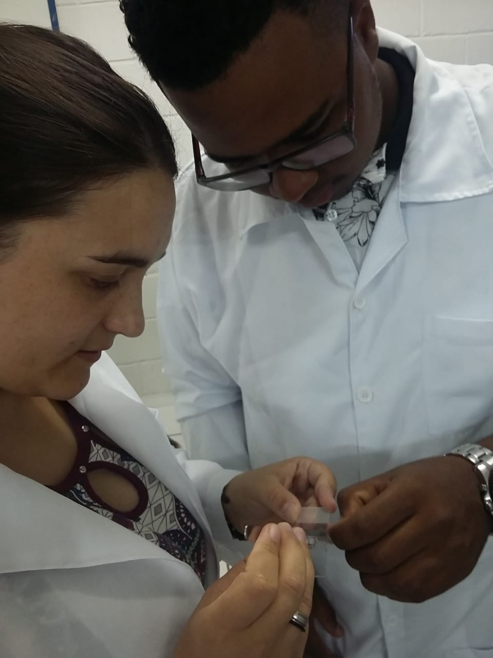 atividades primeiro periodo 1