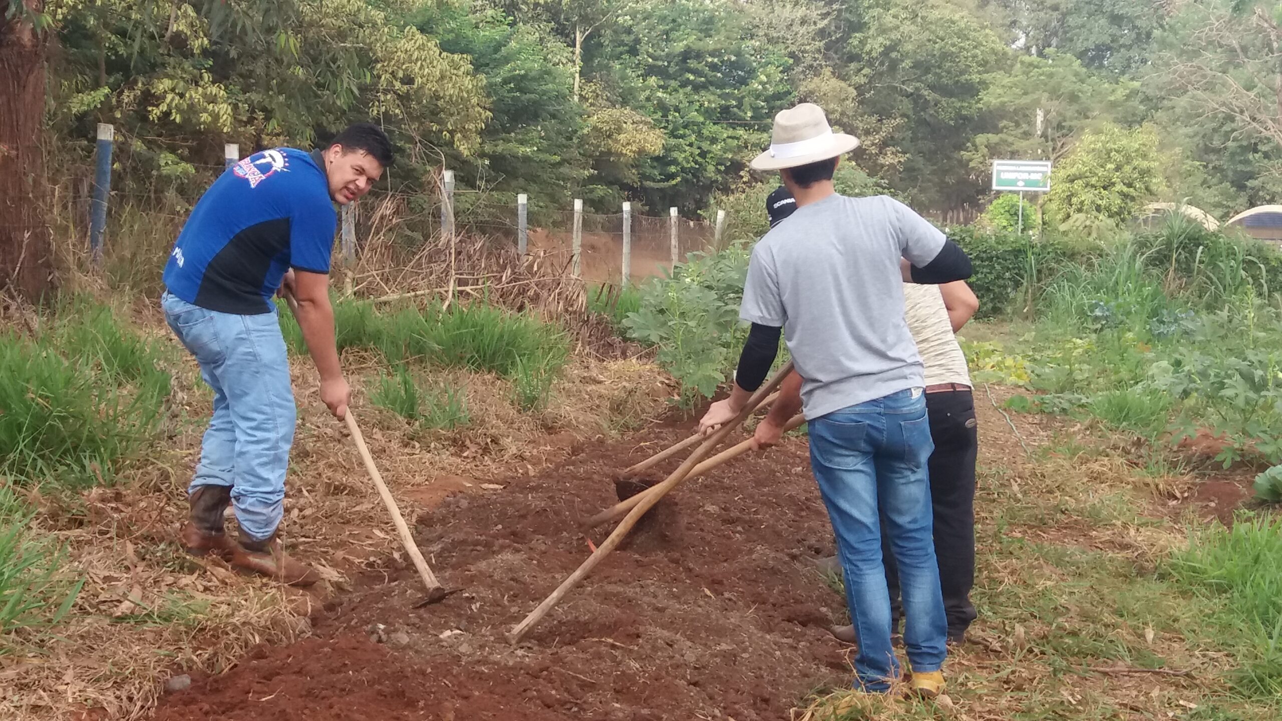 atividades primeiro periodo 2