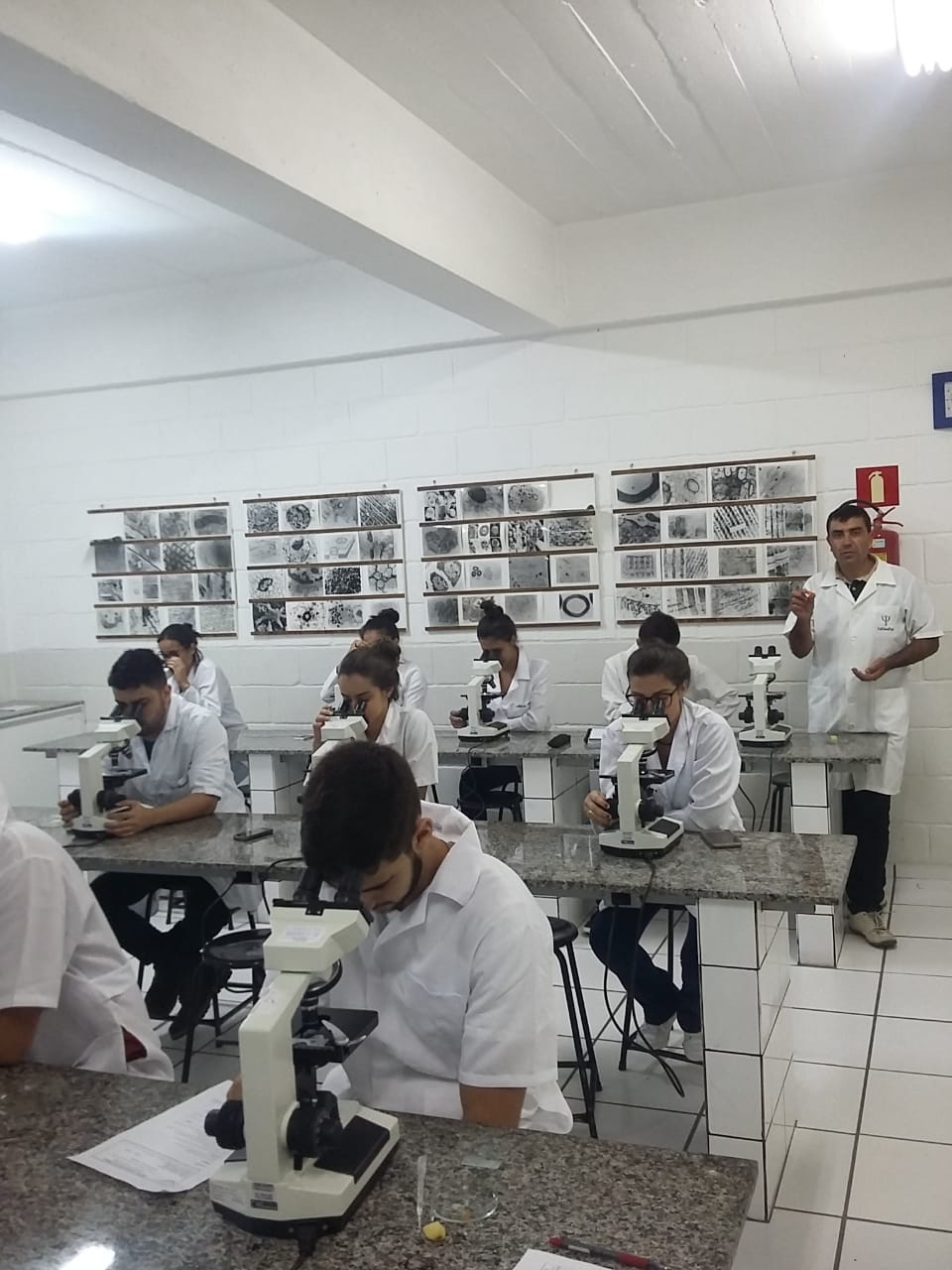 atividades primeiro periodo 3