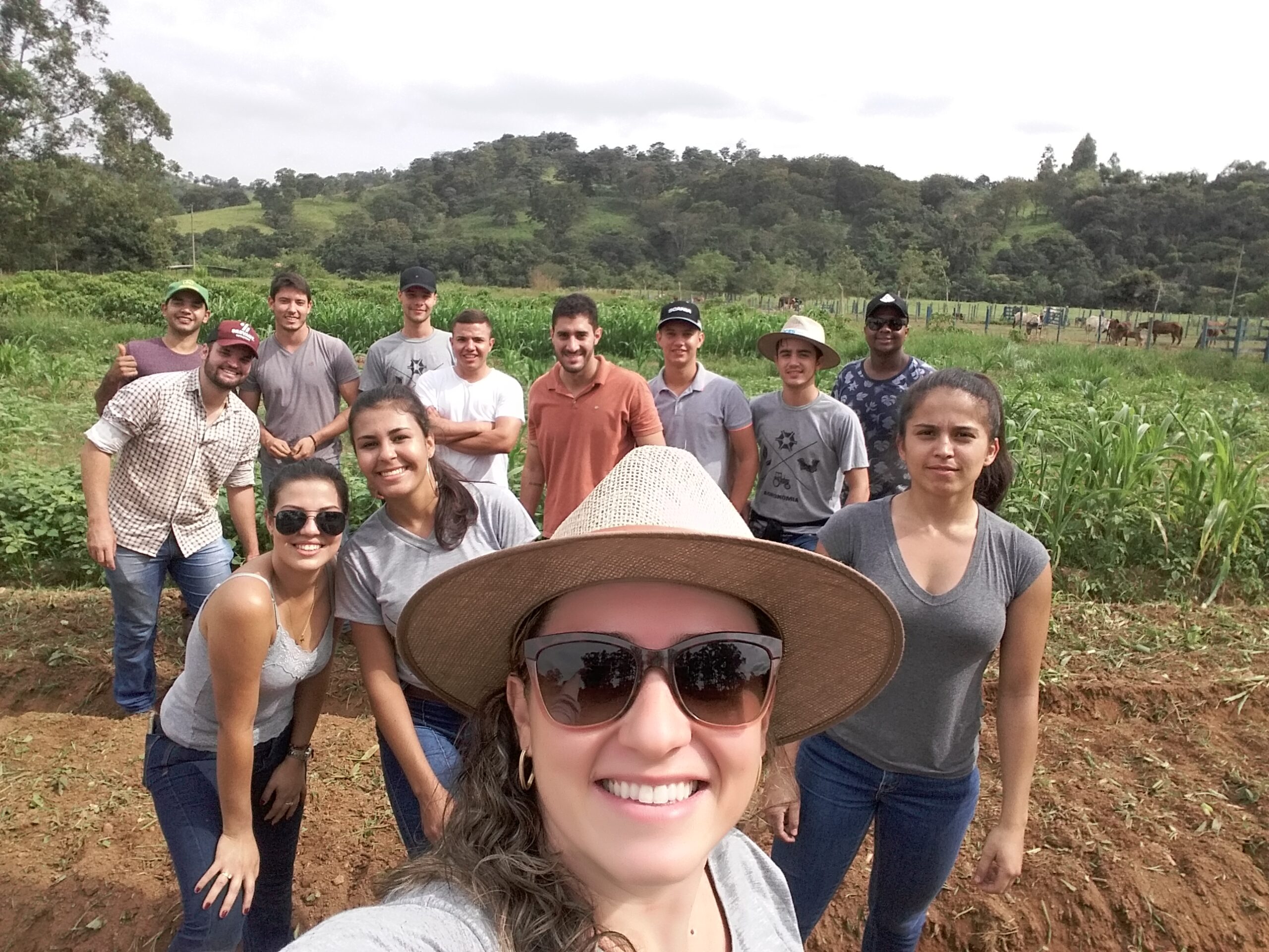 atividades primeiro periodo 4