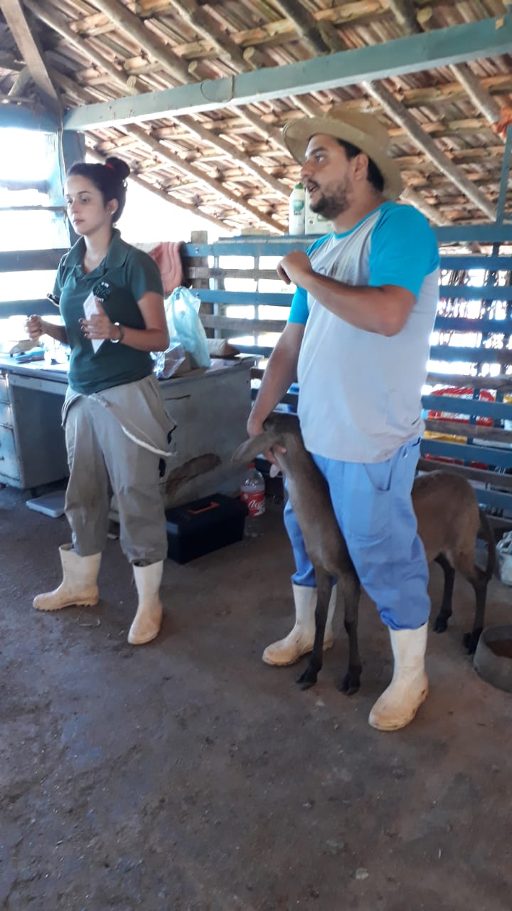Dia de Campo na Fazenda Laboratório do UNIFOR 2