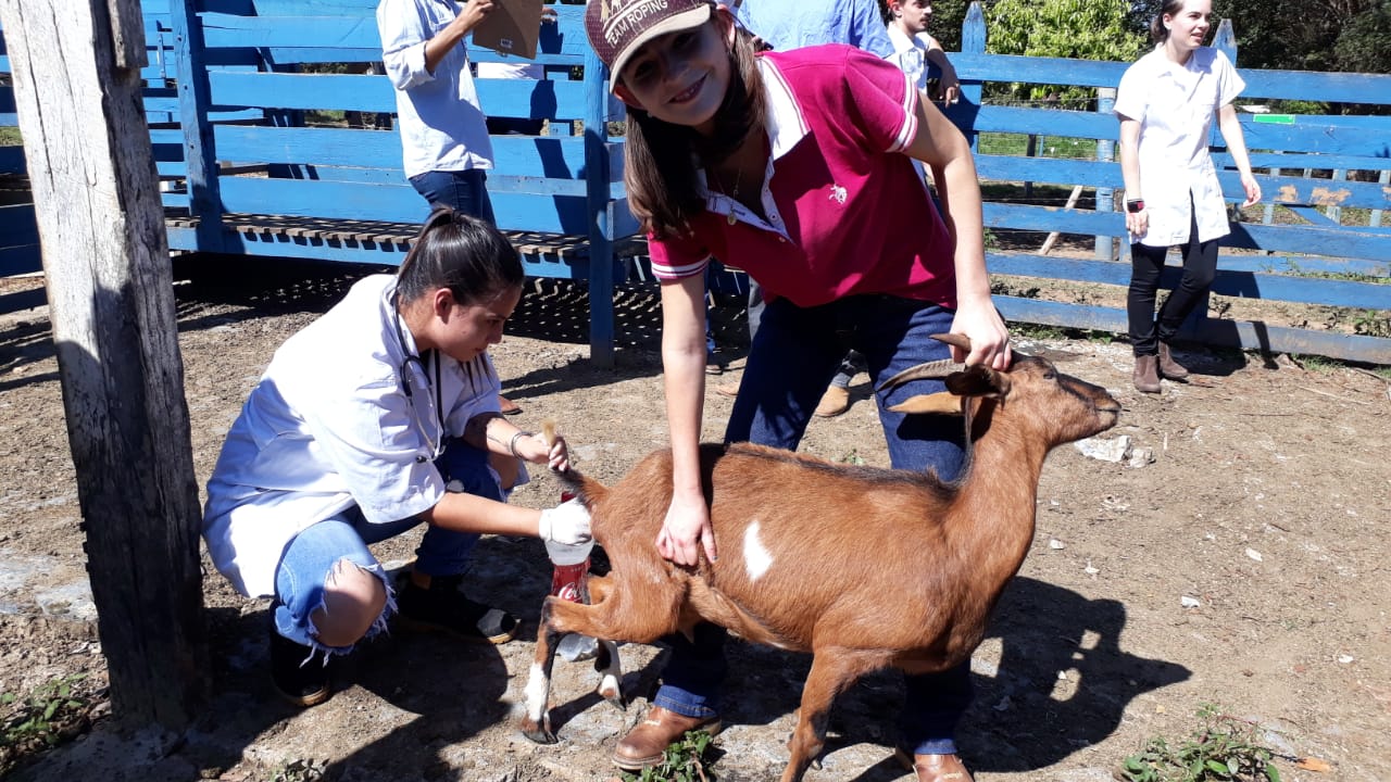 Dia de Campo na Fazenda Laboratório do UNIFOR 3