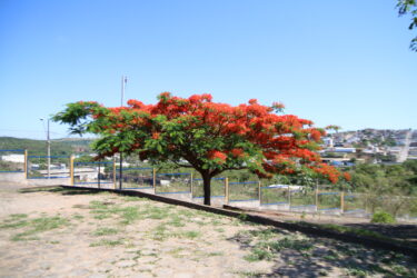 PAISAGEM DO CAMPUS
