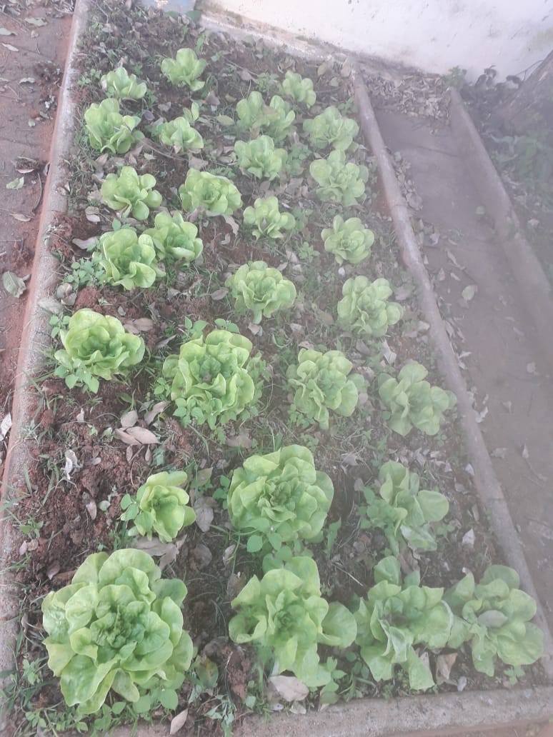 WhatsApp Image 2019 12 23 at 1335142