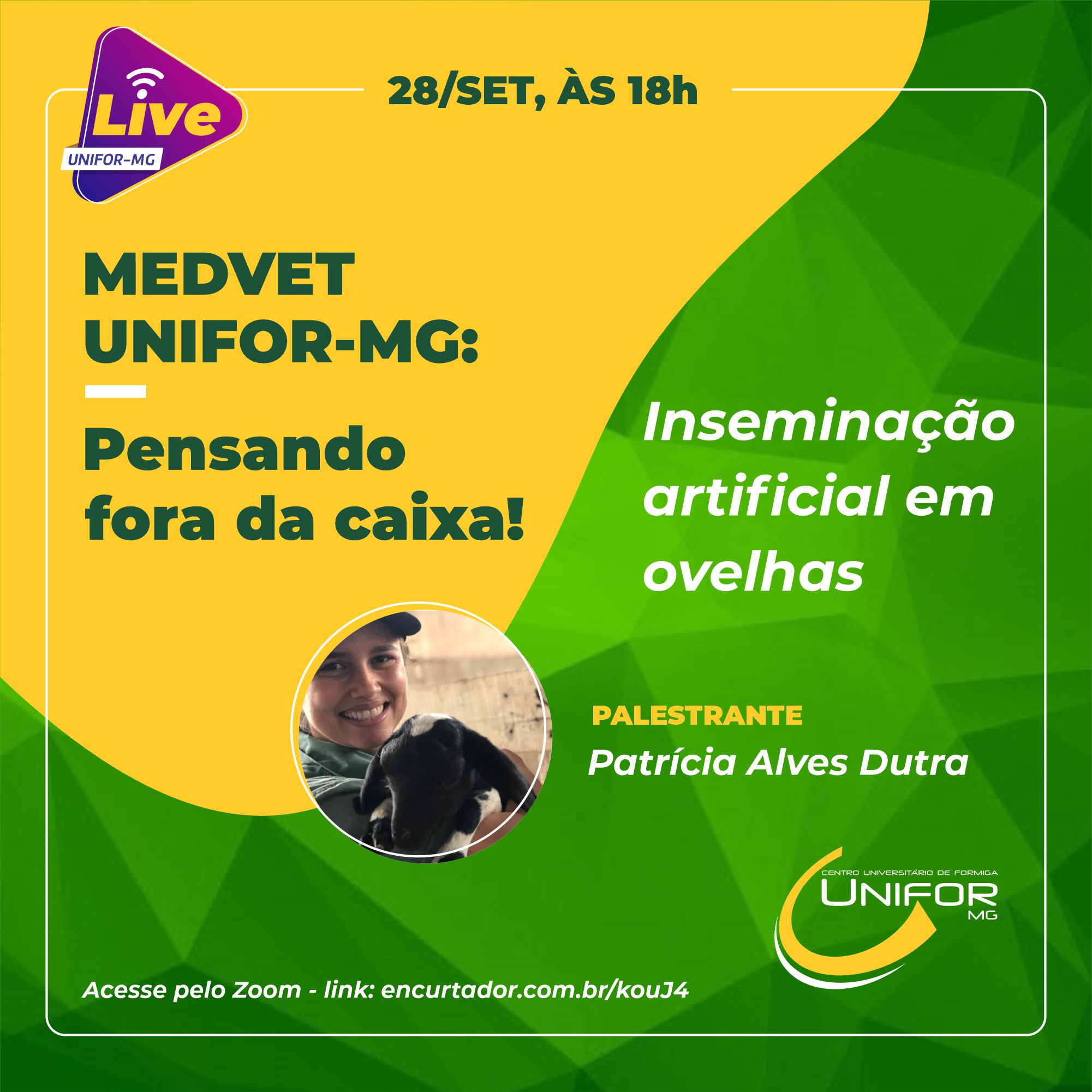 LIVE ABORDARÁ “INSEMINAÇÃO ARTIFICIAL EM OVELHAS”