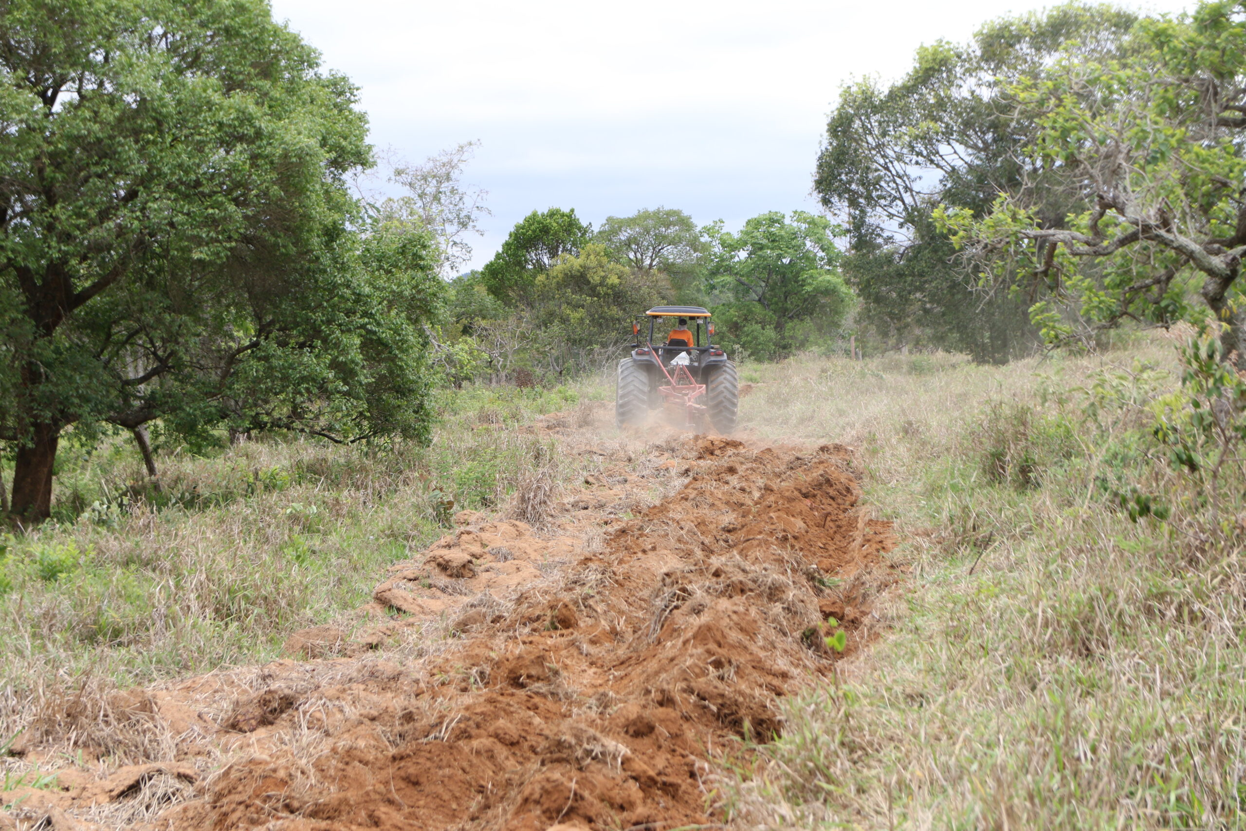 PROJETO TERRA DAS ÁGUAS ENTRA NA FASE DE EXECUÇÃO