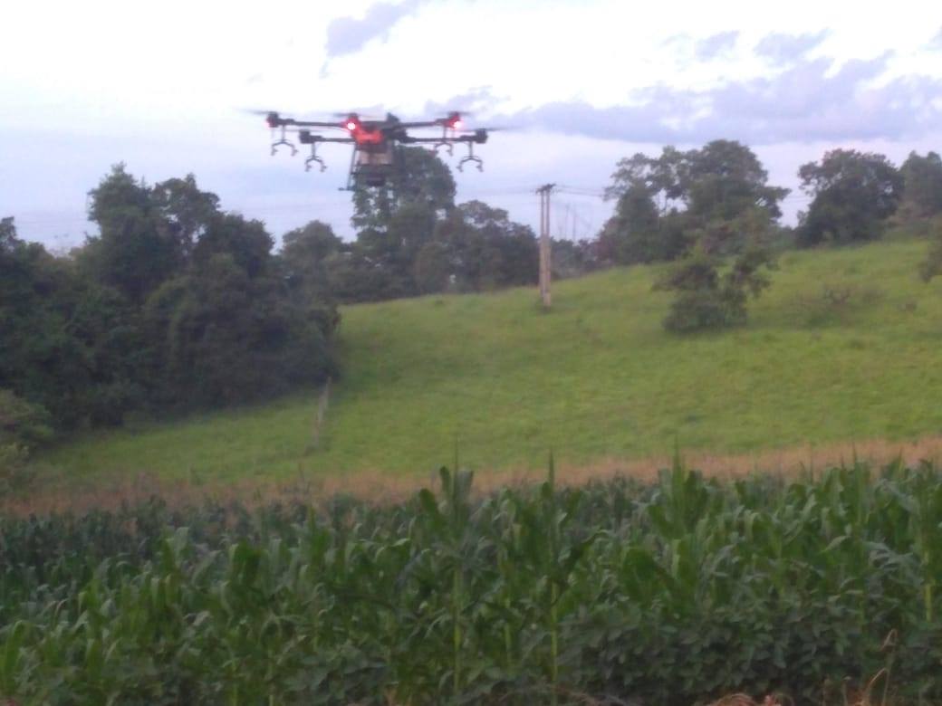 145372962 708851636660589 4079942295131725564 n