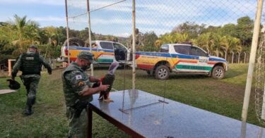 GALOS APREENDIDOS EM RINHA SERÃO ENCAMINHADOS PARA O CVAGA