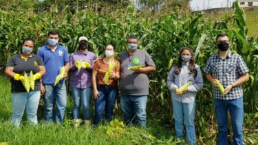 PROJETO CULTIVAR: ALIMENTOS SÃO PRODUZIDOS DE MANEIRA SUSTENTÁVEL