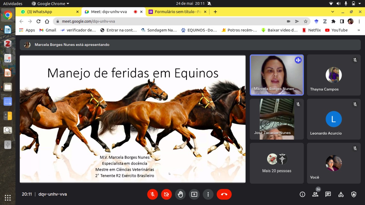 II CIRCUITO MEDVET MEDICINA EQUINA DIVULGA TECNOLOGIAS