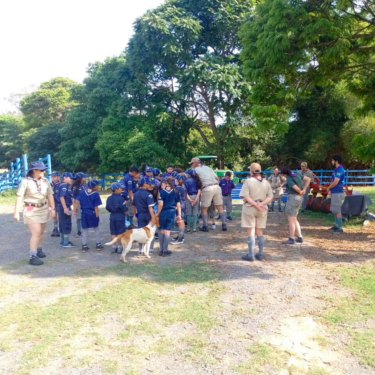 ESCOTEIROS DE FORMIGA E DIVINÓPOLIS FAZEM VISITA À FAZENDA LABORATÓRIO