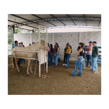 ALUNOS DE MEDICINA VETERINÁRIA DÃO INÍCIO À JORNADA ACADÊMICA COM AULA INAUGURAL