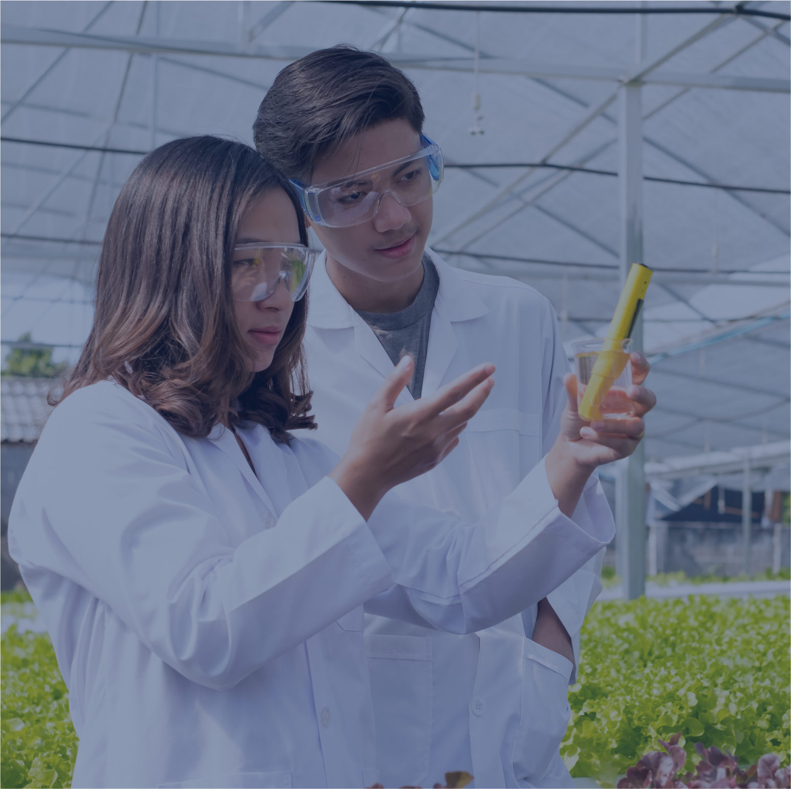 Engenharia Agronômica (Semipresencial)