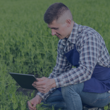 Gestão do Agronegócio – EAD