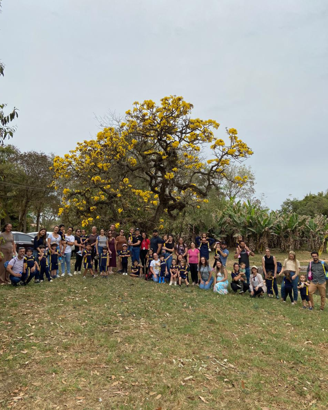 ALUNOS DO COLÉGIO UNIFOR E SEUS FAMILIARES VISITAM FAZENDA LABORATÓRIO